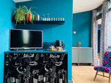 Colourful Garden Room