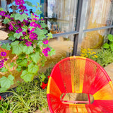 Colourful Garden Room