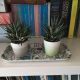 Botanics Tray